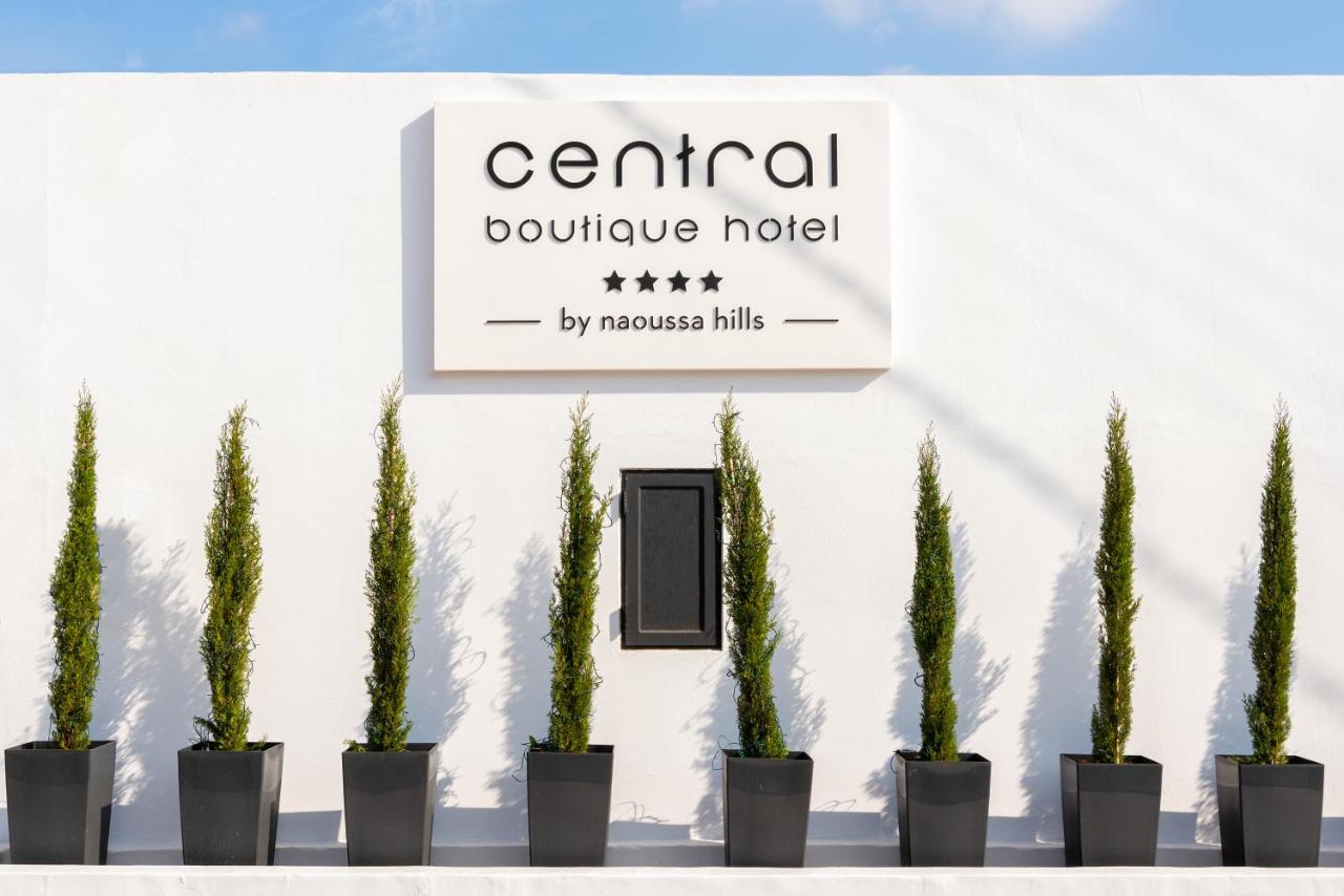 Central Boutique Hotel By Naoussa Hills Adults Only Exterior foto